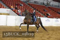 15BUCK_02019 proof