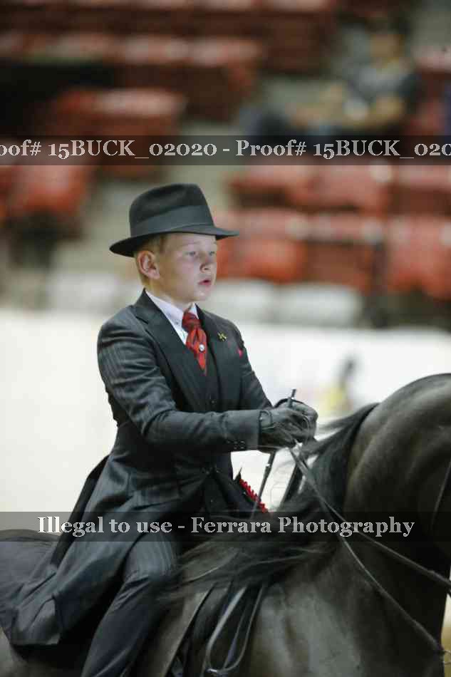 Proof 15BUCK_02020