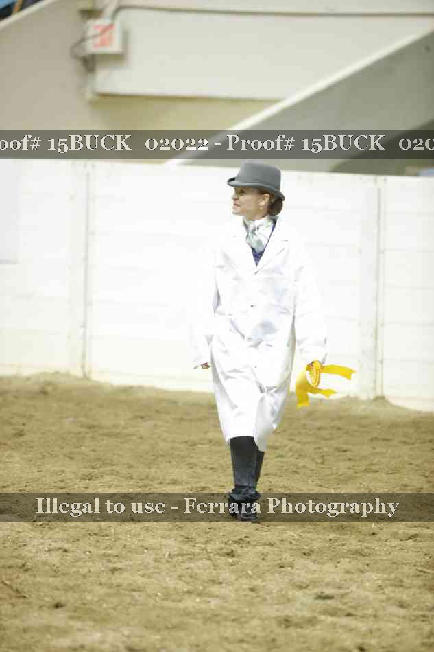 Proof 15BUCK_02022