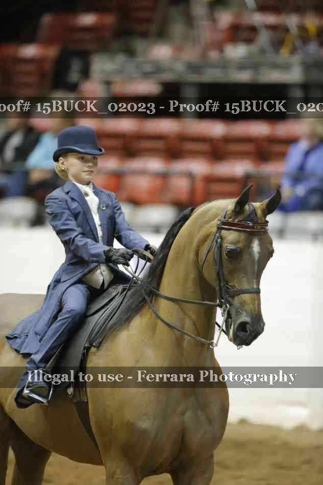 Proof 15BUCK_02023