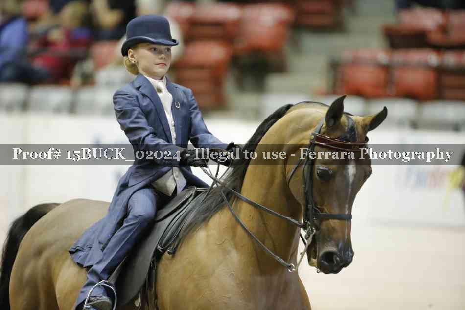 Proof 15BUCK_02024