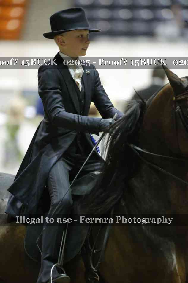 Proof 15BUCK_02025