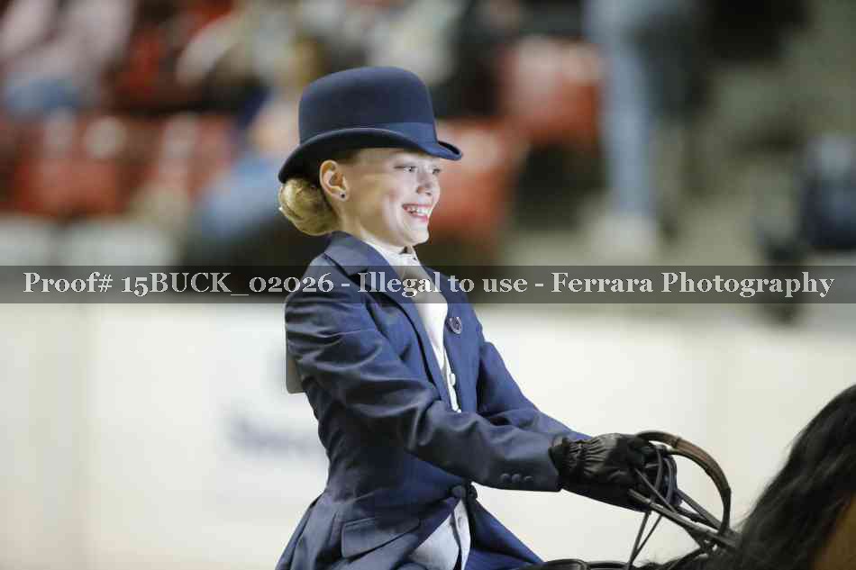 Proof 15BUCK_02026