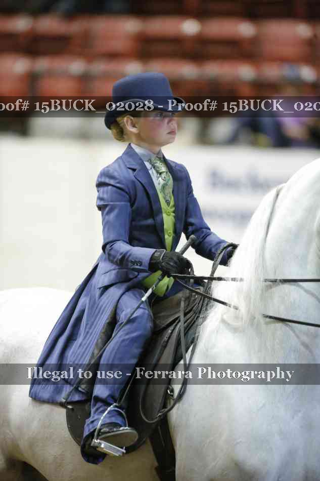 Proof 15BUCK_02028