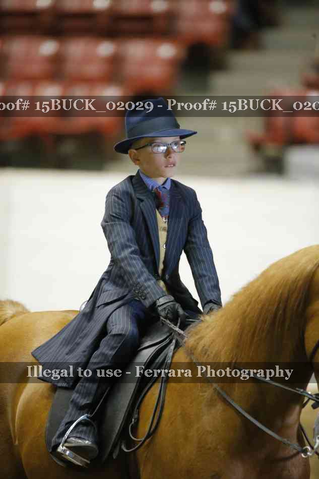 Proof 15BUCK_02029