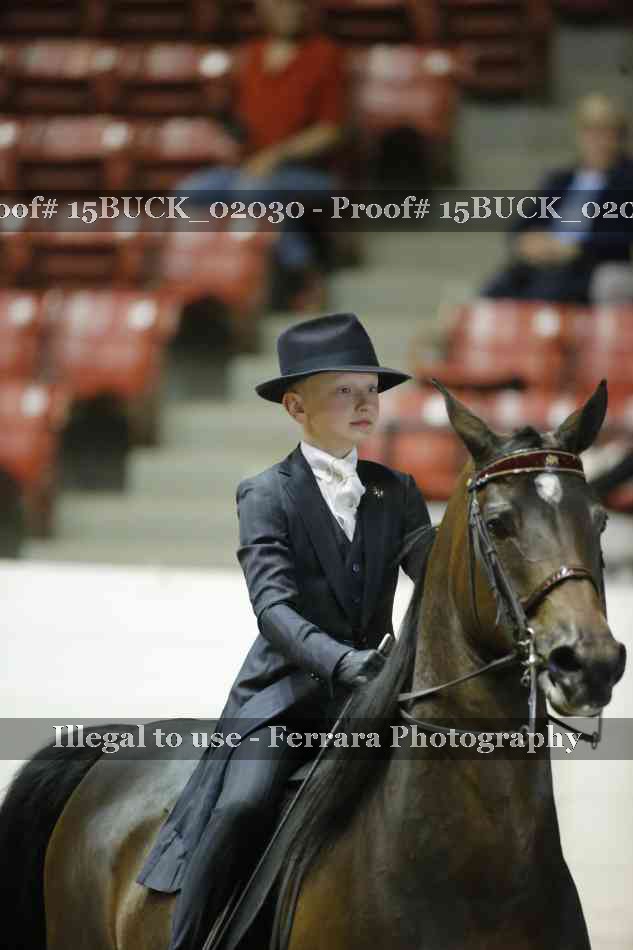Proof 15BUCK_02030