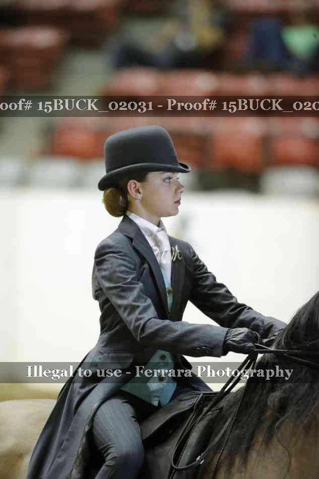 Proof 15BUCK_02031