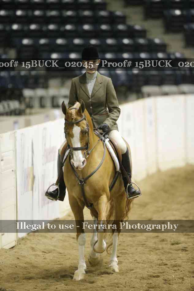 Proof 15BUCK_02045