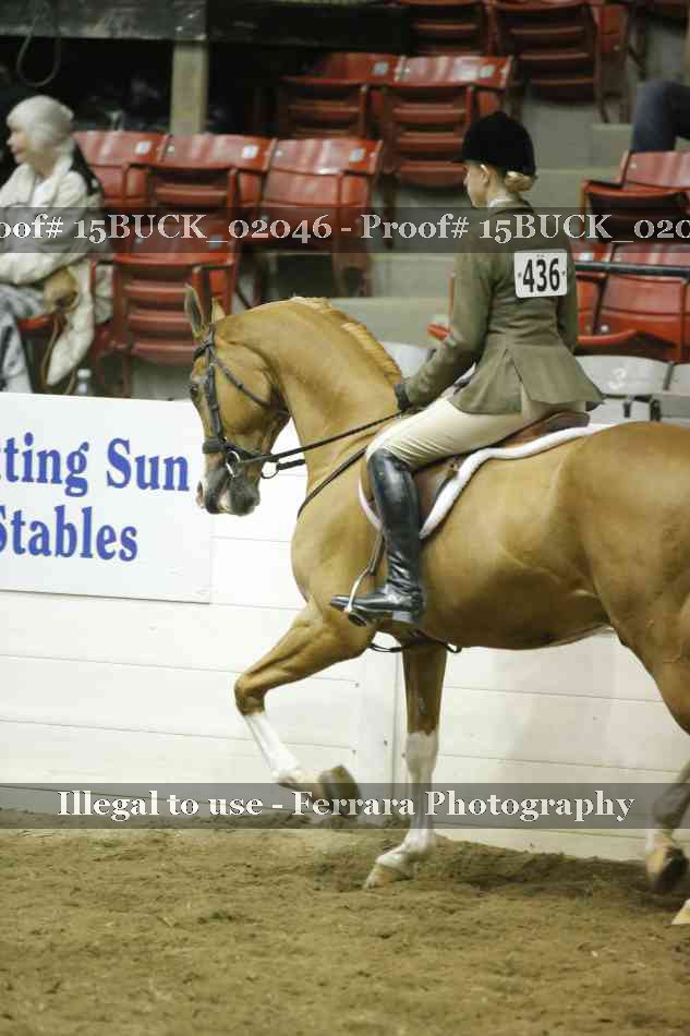 Proof 15BUCK_02046