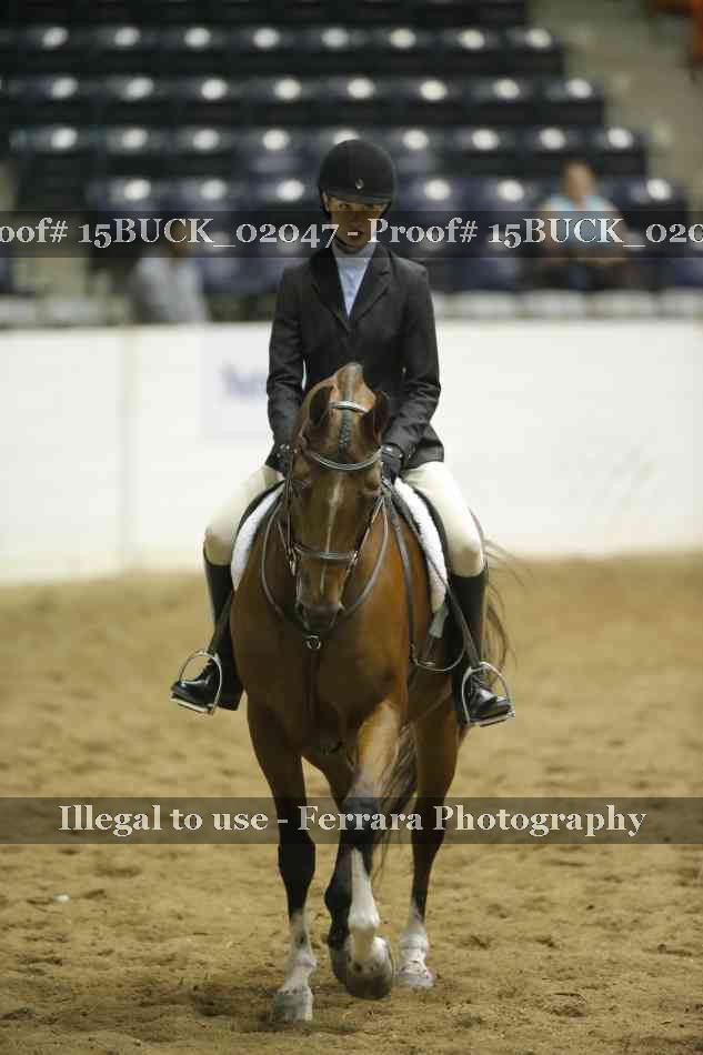 Proof 15BUCK_02047