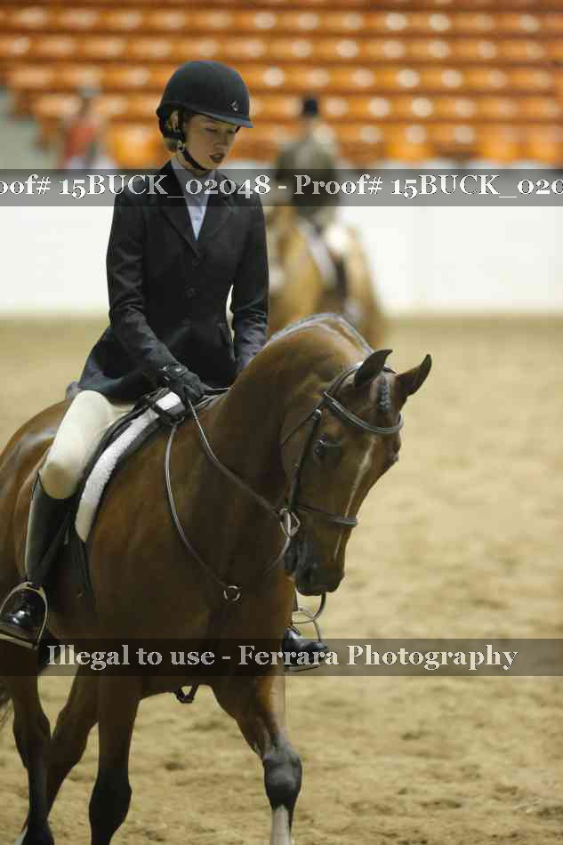Proof 15BUCK_02048