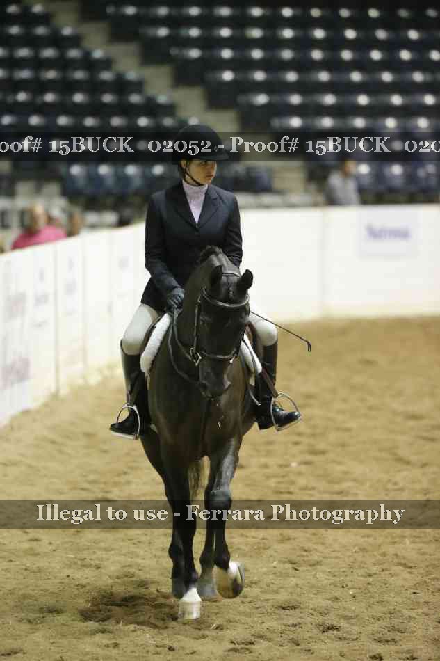 Proof 15BUCK_02052