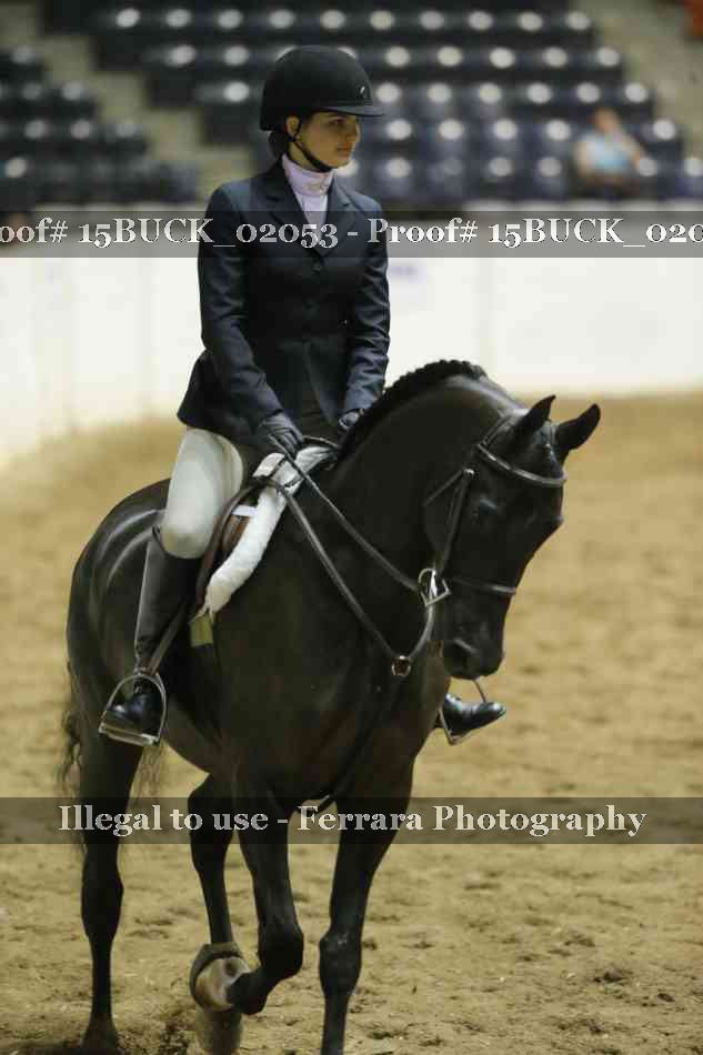 Proof 15BUCK_02053