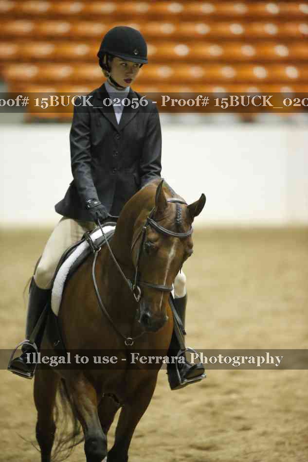 Proof 15BUCK_02056