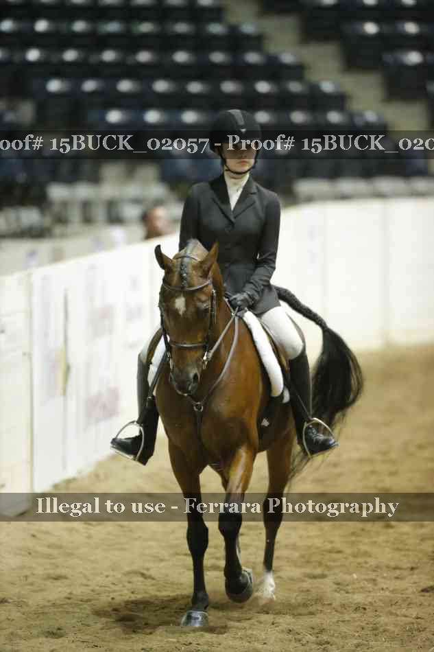 Proof 15BUCK_02057