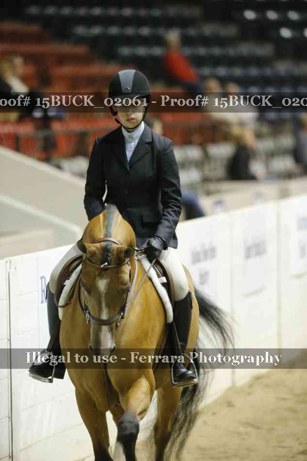 Proof 15BUCK_02061