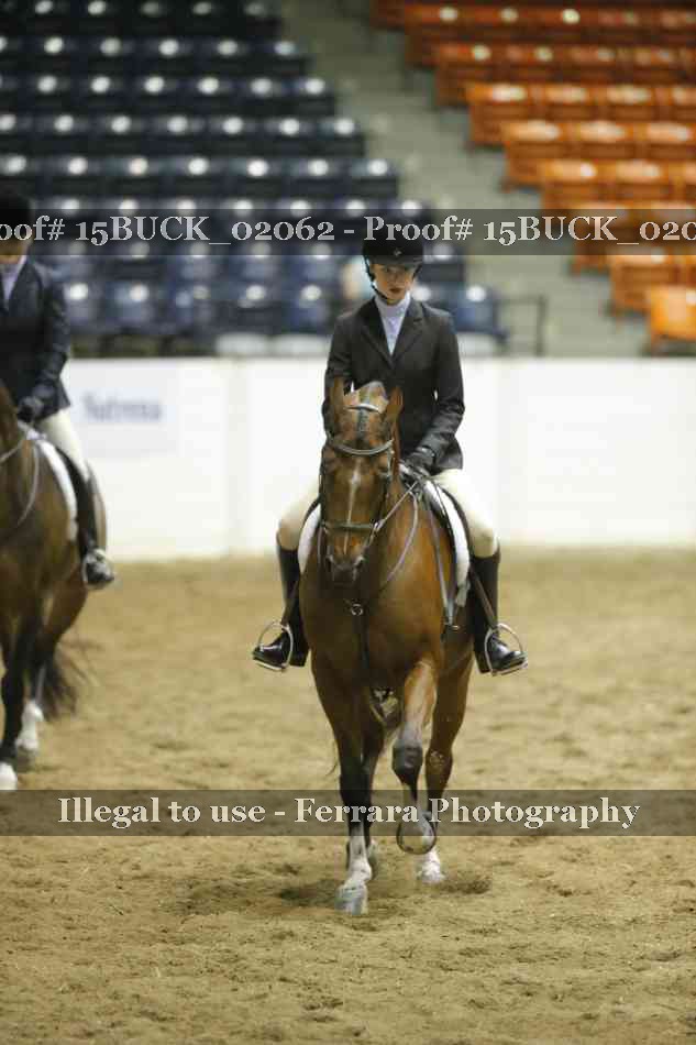 Proof 15BUCK_02062