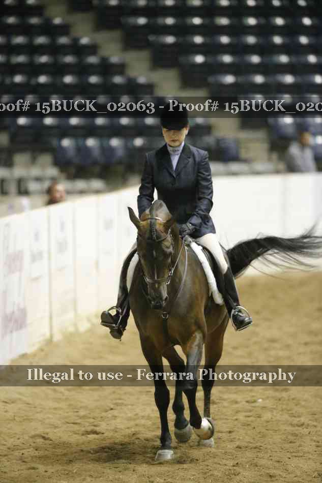 Proof 15BUCK_02063