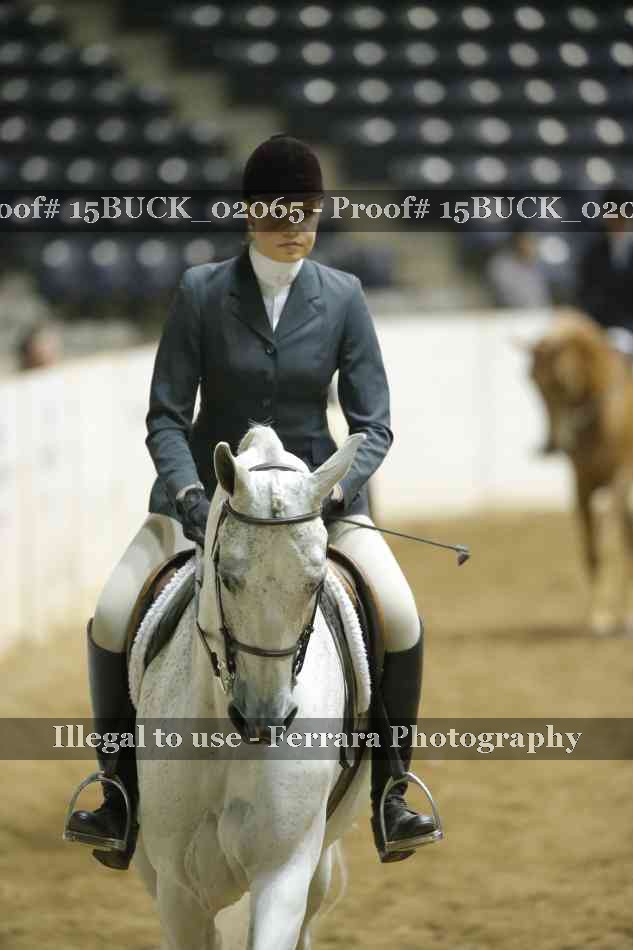 Proof 15BUCK_02065