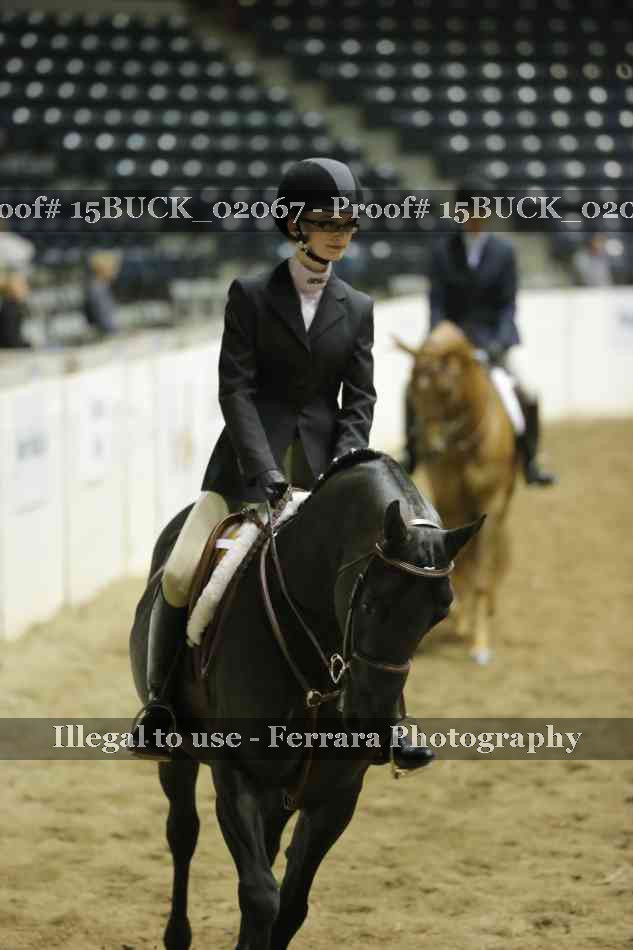 Proof 15BUCK_02067