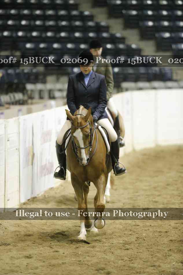 Proof 15BUCK_02069