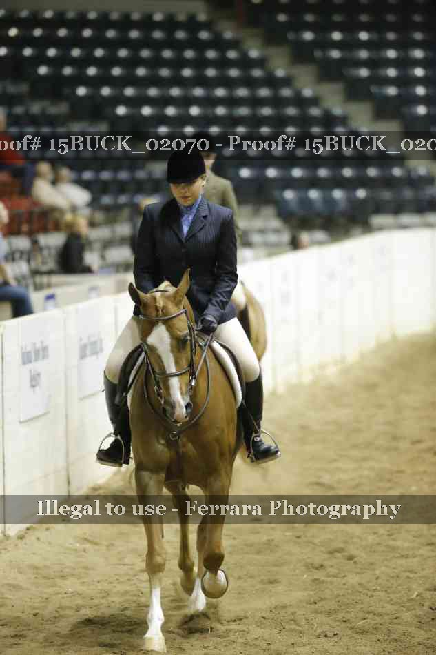 Proof 15BUCK_02070