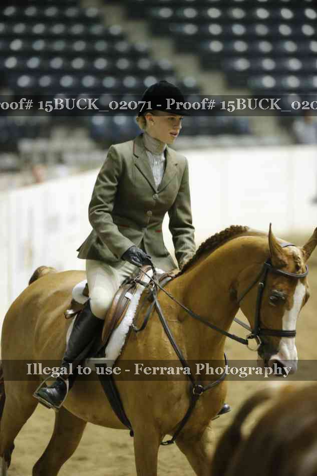 Proof 15BUCK_02071