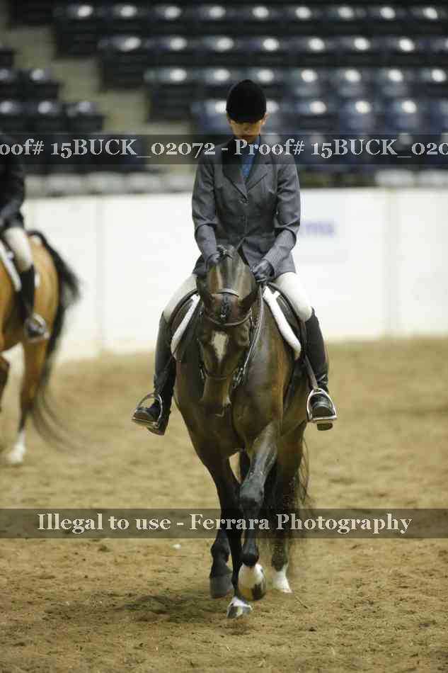 Proof 15BUCK_02072