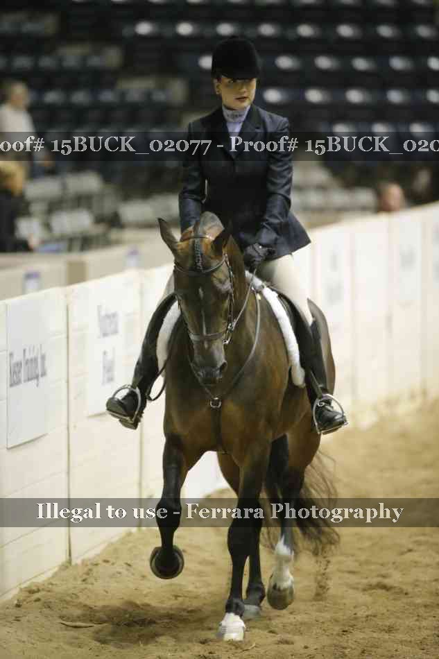 Proof 15BUCK_02077