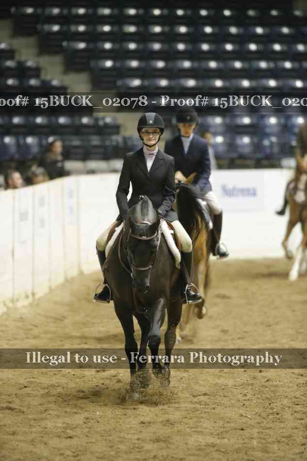 Proof 15BUCK_02078
