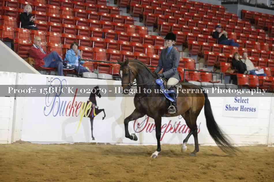 Proof 15BUCK_02079