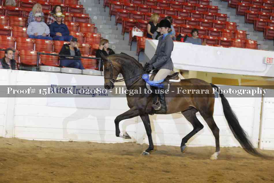 Proof 15BUCK_02080