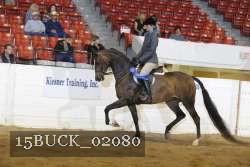15BUCK_02080 proof
