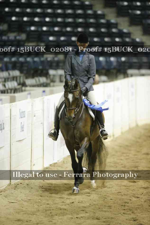 Proof 15BUCK_02081