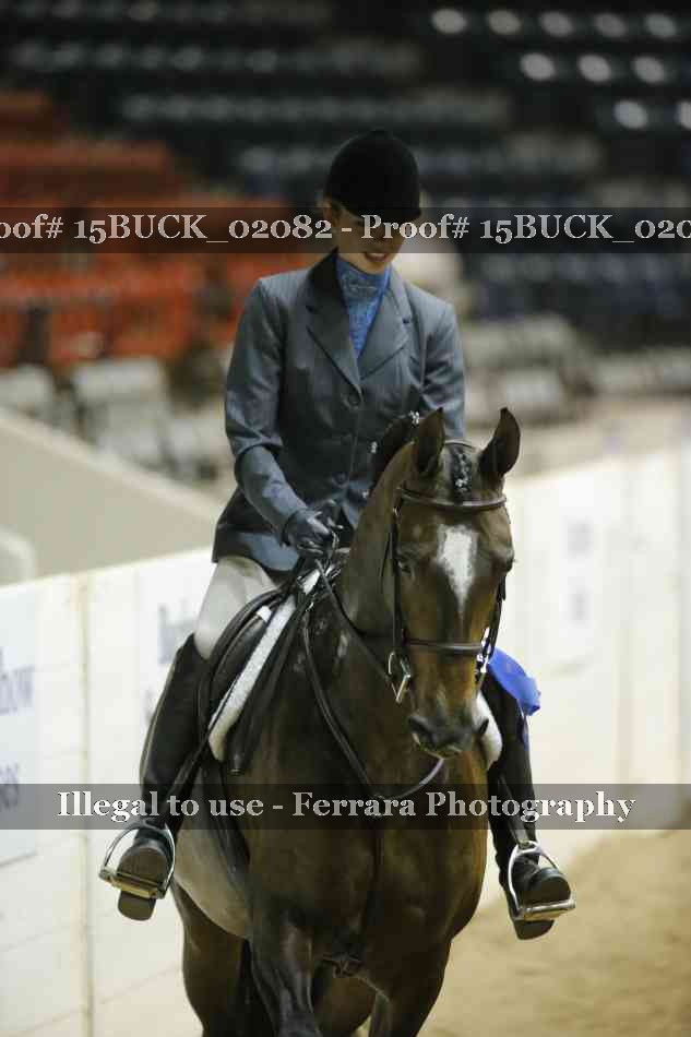 Proof 15BUCK_02082
