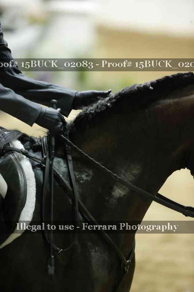 Proof 15BUCK_02083
