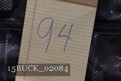 15BUCK_02084 proof