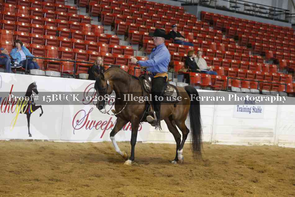 Proof 15BUCK_02085