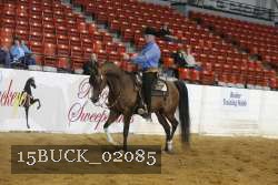 15BUCK_02085 proof