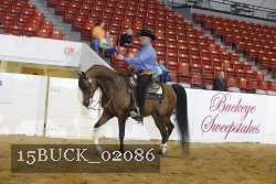 15BUCK_02086 proof