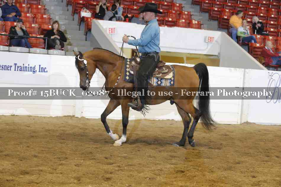 Proof 15BUCK_02087