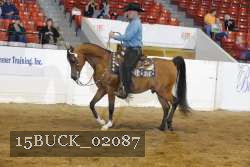 15BUCK_02087 proof