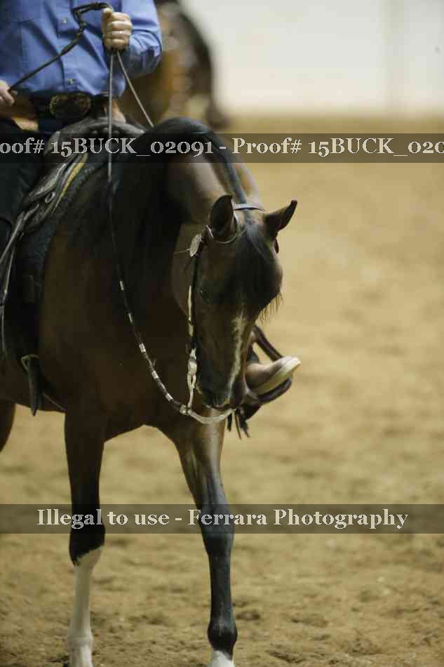 Proof 15BUCK_02091