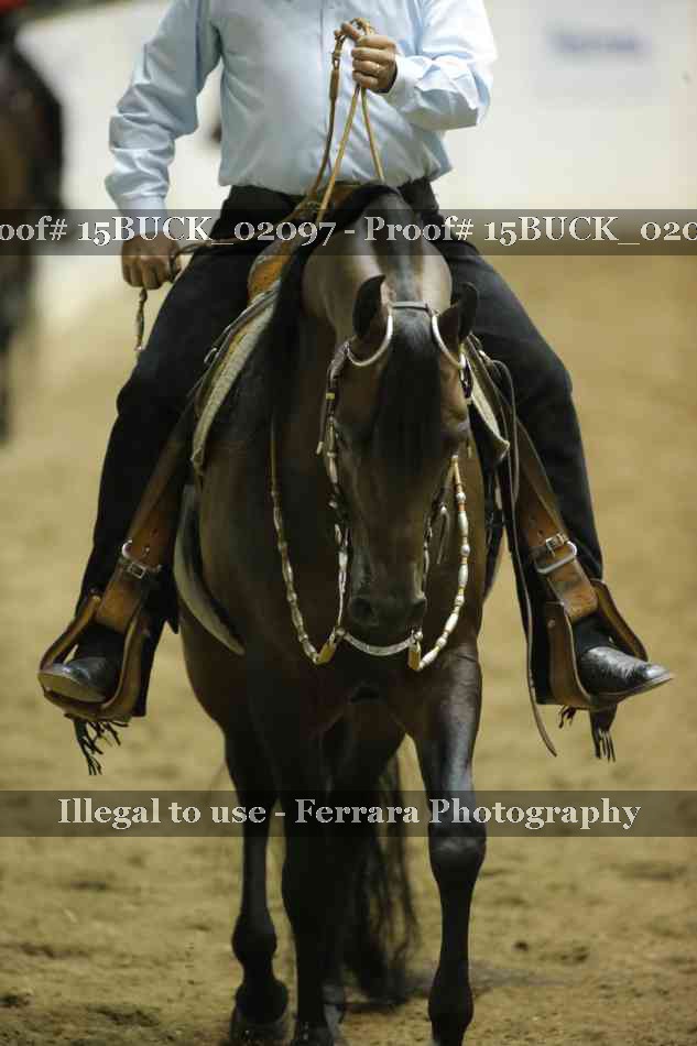 Proof 15BUCK_02097