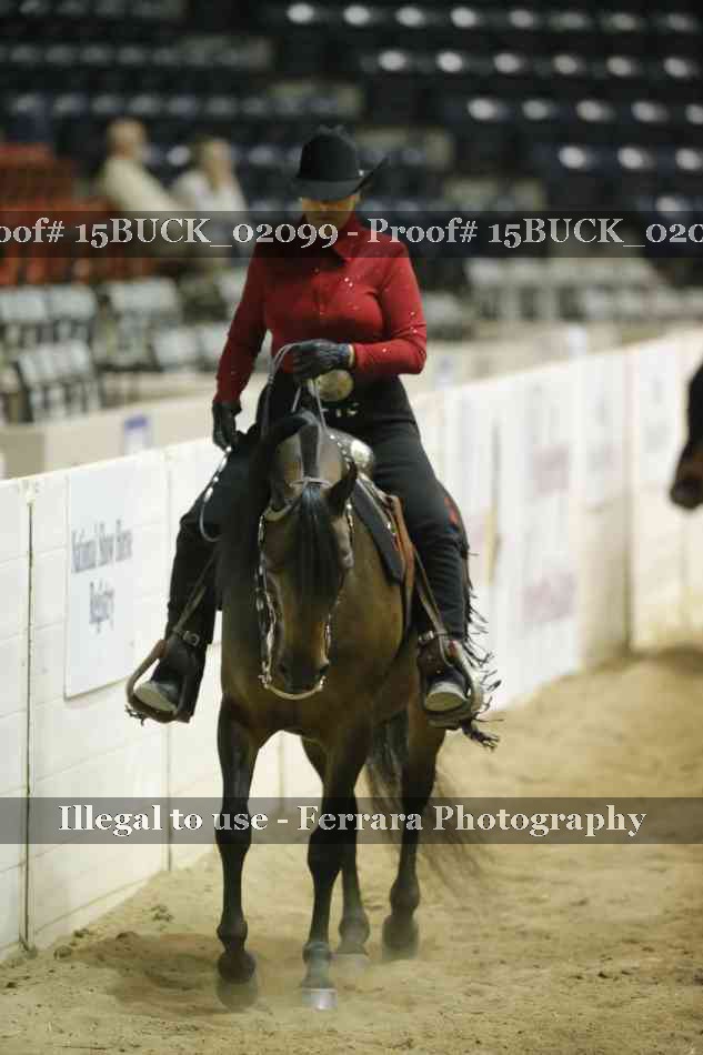 Proof 15BUCK_02099