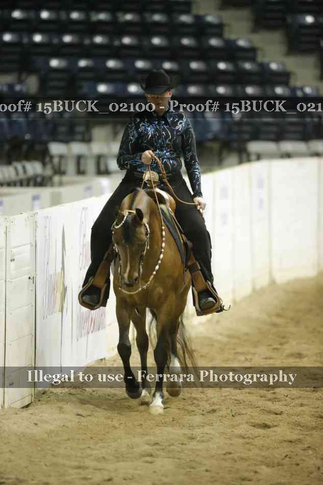 Proof 15BUCK_02100