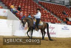15BUCK_02103 proof