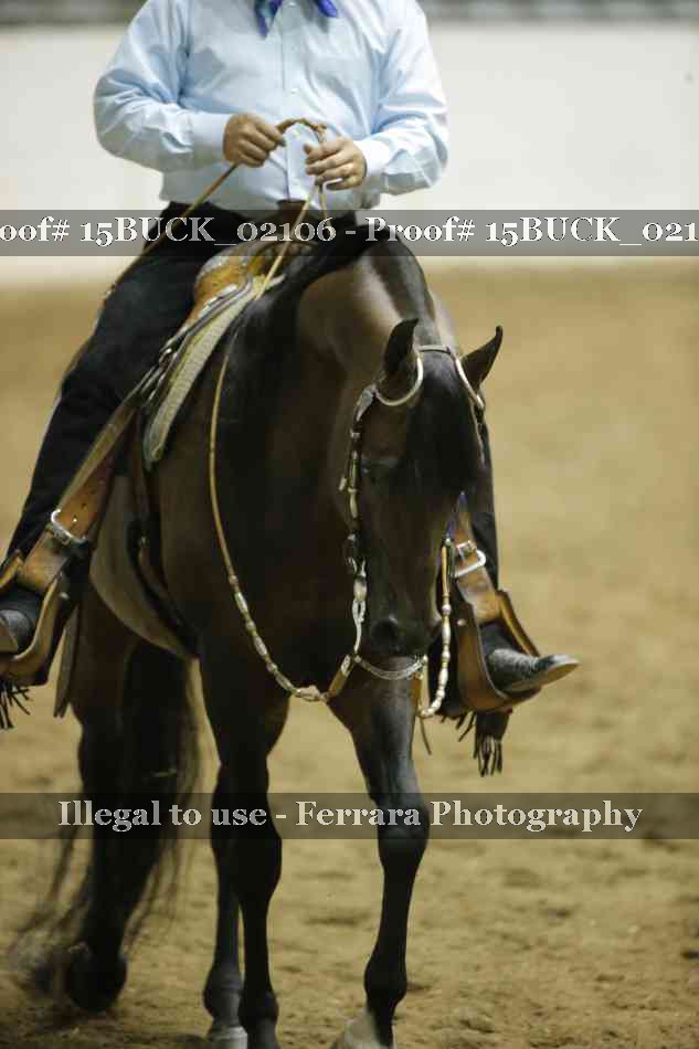 Proof 15BUCK_02106