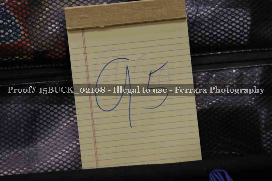 Proof 15BUCK_02108