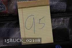 15BUCK_02108 proof